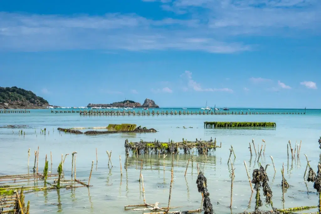 ostreiculture cancale