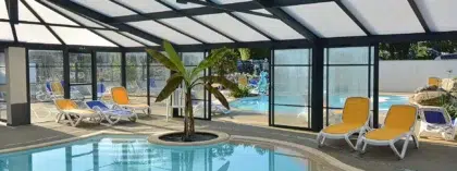 piscine photo plante