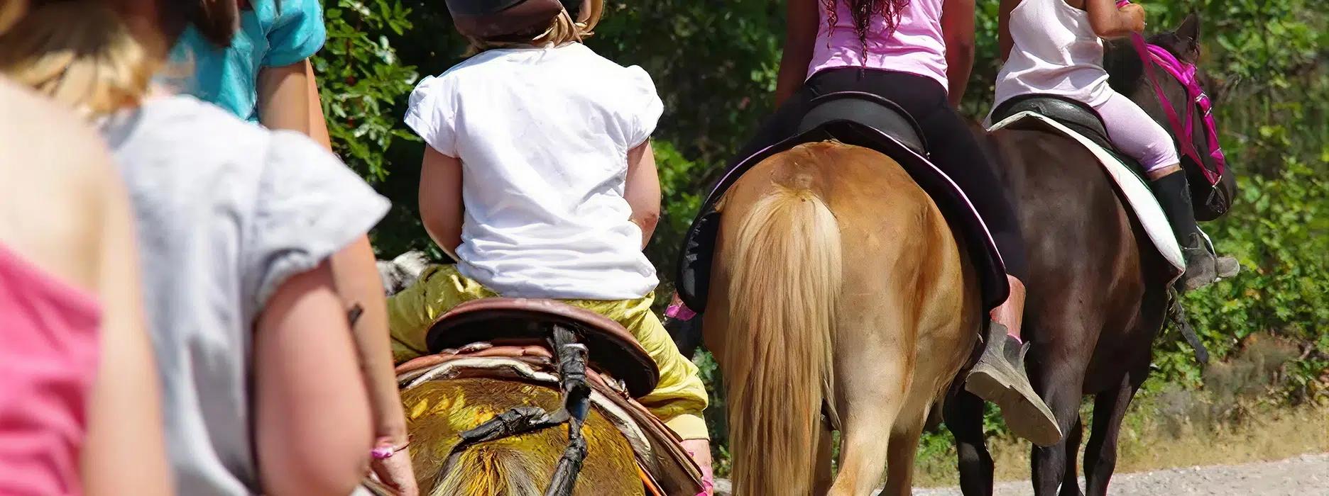 balade a cheval - camping saint-malo