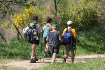 Groupes 7 AdobeStock 31577920